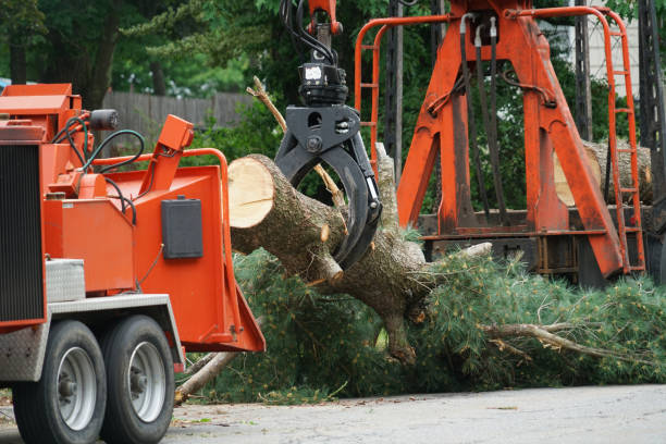 Best Commercial Tree Services  in Oakland, NJ